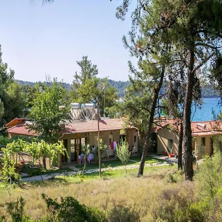 Oasis Deluxe * Πευκάρι