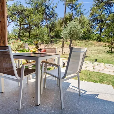 Oasis Deluxe * Πευκάρι